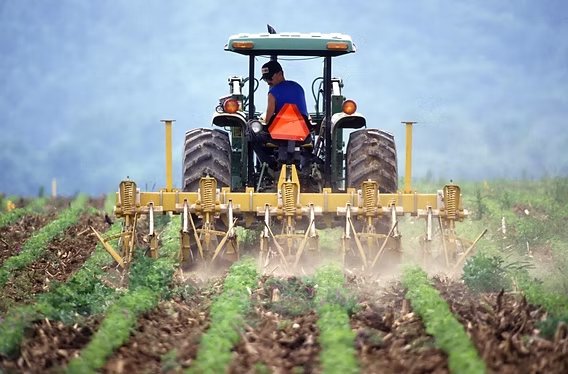 Agriculture & Agribusiness
